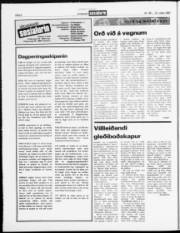 Síða 6