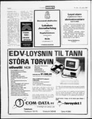Síða 8