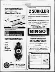 Síða 17