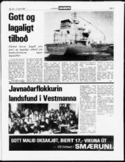 Síða 3