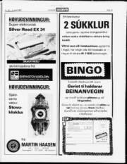 Síða 15