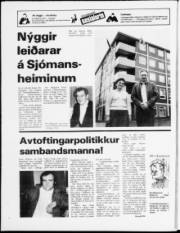 Síða 24