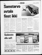 Síða 2
