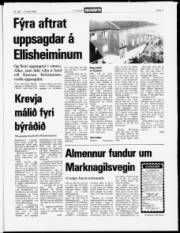 Síða 3