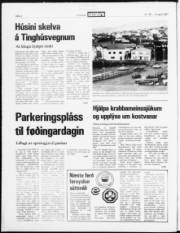 Síða 4