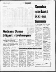 Síða 5