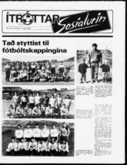 Síða 13