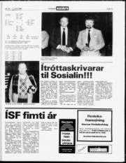 Síða 15
