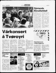 Síða 23