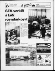 Síða 24