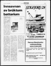 Síða 7