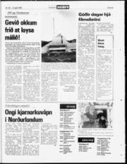 Síða 22