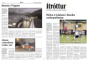 Síða 12