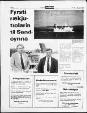 Síða 2