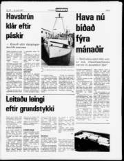 Síða 3