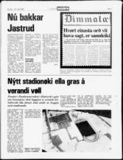 Síða 3