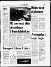 Síða 5