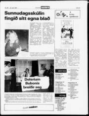 Síða 23
