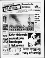 Síða 1