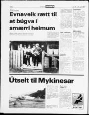Síða 2