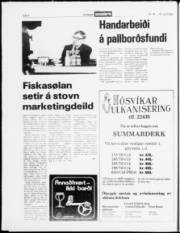Síða 4
