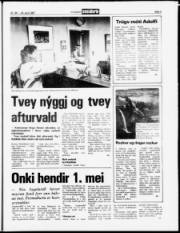 Síða 5