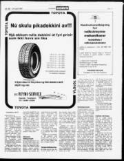 Síða 19