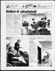 Síða 24