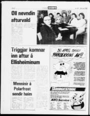 Síða 2