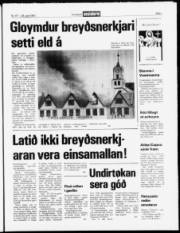 Síða 3
