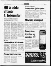Síða 13