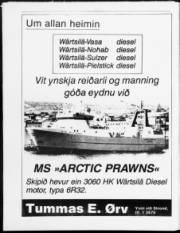 Síða 18