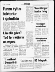 Síða 3