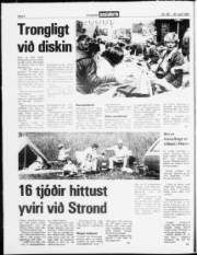 Síða 4