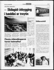 Síða 11