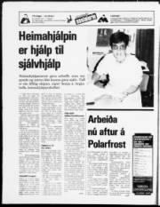 Síða 24