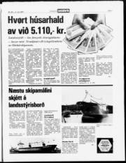 Síða 3