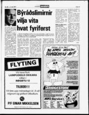 Síða 19
