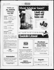 Síða 21