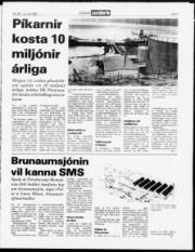 Síða 3