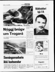Síða 11