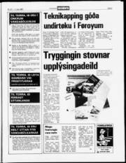 Síða 5