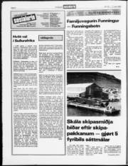 Síða 6