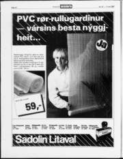 Síða 15