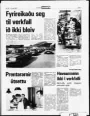 Síða 3