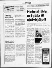 Síða 6