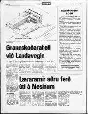 Síða 10