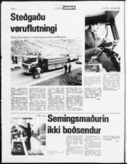 Síða 4