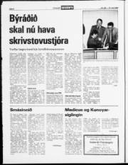 Síða 8