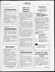 Síða 19